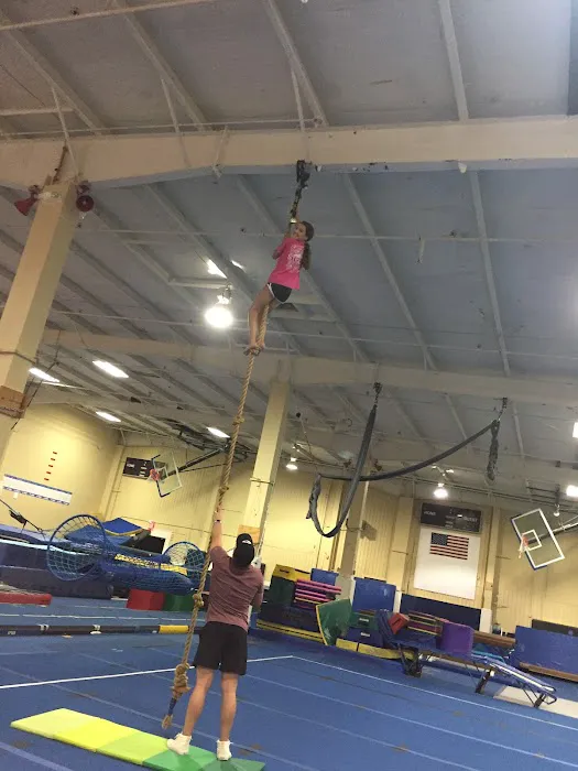 HI-NRG-Chesterfield Picture 5