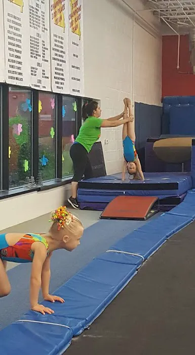 Olympia Gymnastics - Chesterfield Picture 6