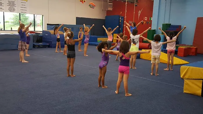 Olympia Gymnastics - Chesterfield Picture 1