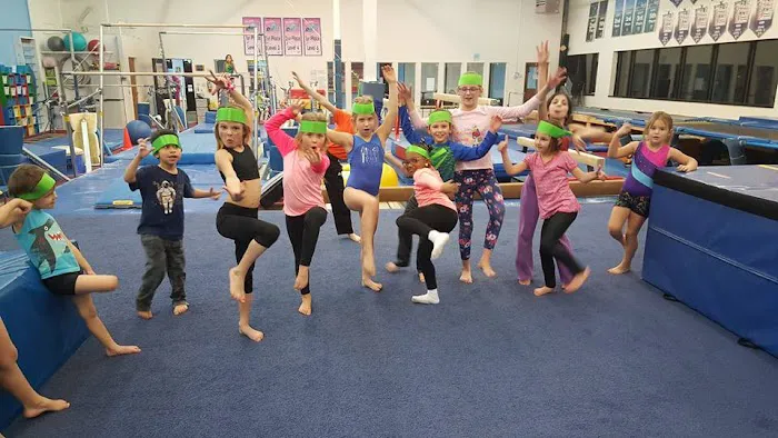 Olympia Gymnastics - Chesterfield Picture 3