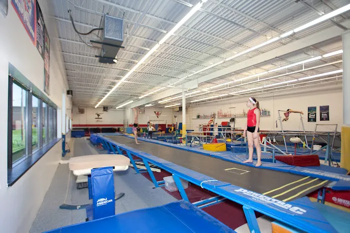 Olympia Gymnastics - Chesterfield Picture 5