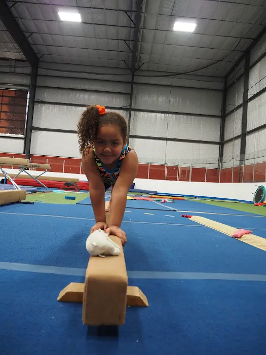 Fitness Made Fun LLC Picture 4