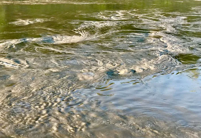 Monarch-Chesterfield Levee Trail Picture 2