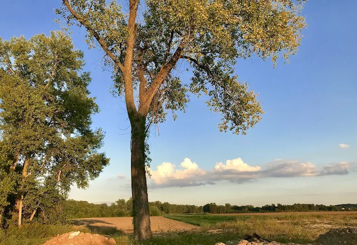 Monarch-Chesterfield Levee Trail Picture 3