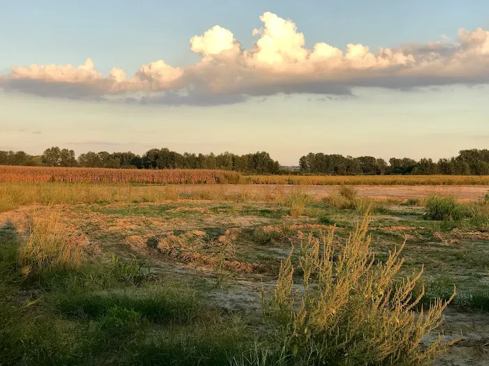 Monarch-Chesterfield Levee Trail Picture 7