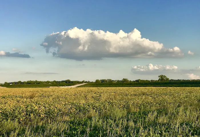 Monarch-Chesterfield Levee Trail Picture 8