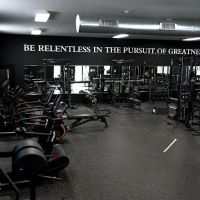 Purler Performance ico