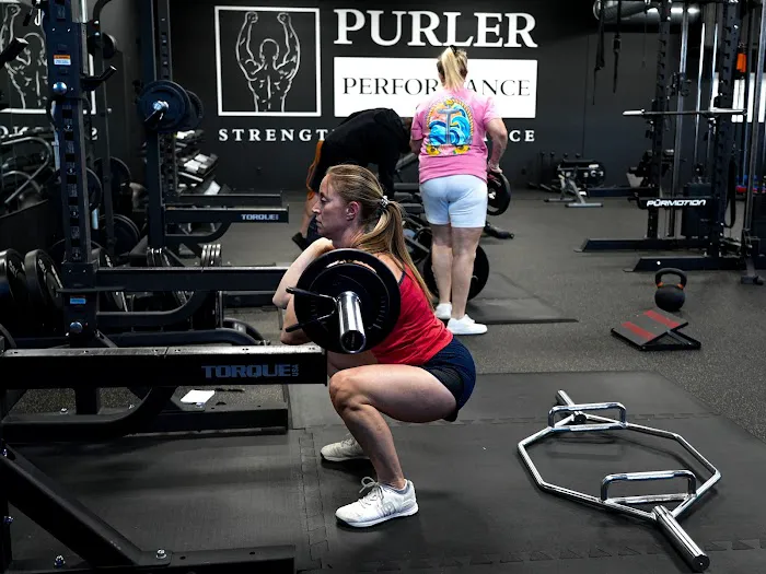 Purler Performance Picture 9