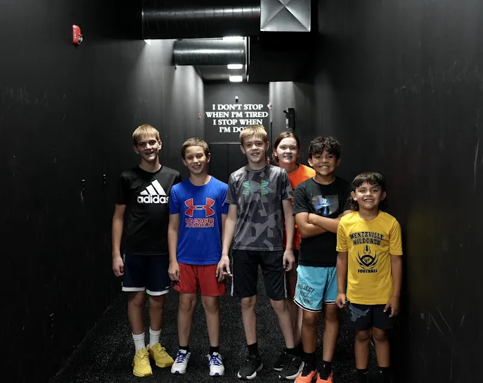 Purler Performance Picture 3