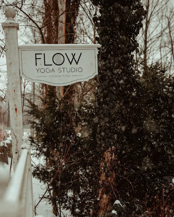 Flow Chagrin River Picture 4