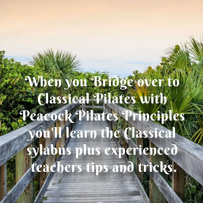 Evolve Pilates 365 Picture 7