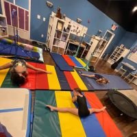 Suavey Performing Arts Institute ico