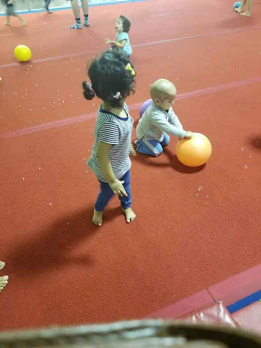 The Little Gym Picture 4