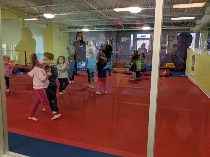 The Little Gym Picture 3