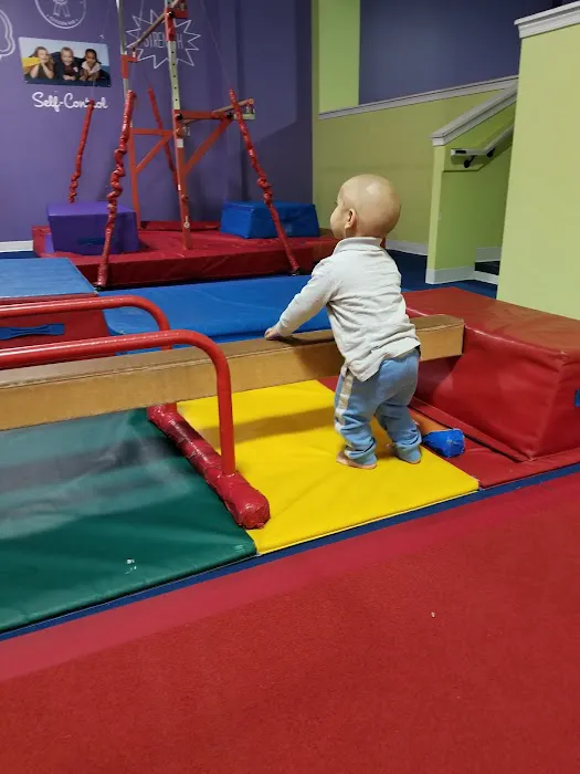 The Little Gym Picture 6