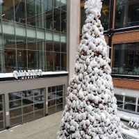 Onelife Fitness - Ballston ico