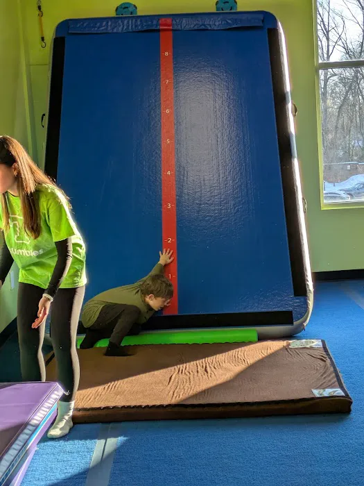 Tumbles Fairfax Picture 9