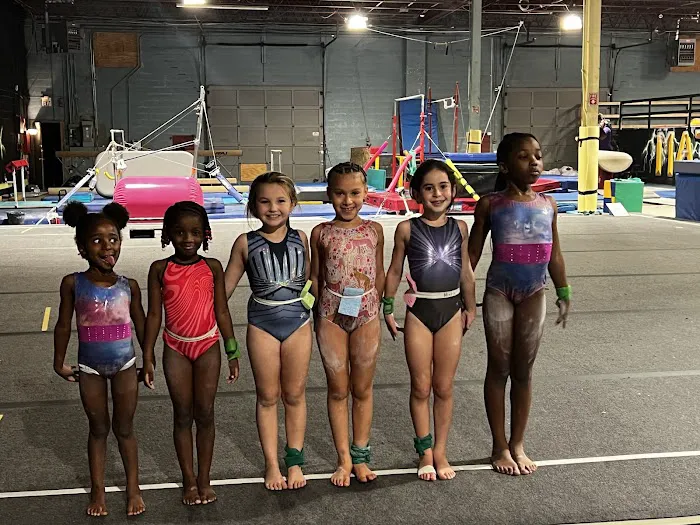 Majesty Elite Gymnastics Picture 7