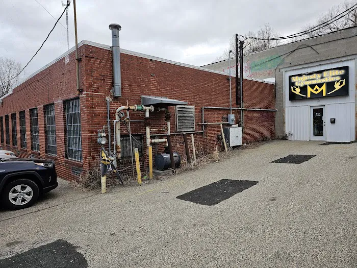 Majesty Elite Gymnastics Picture 2