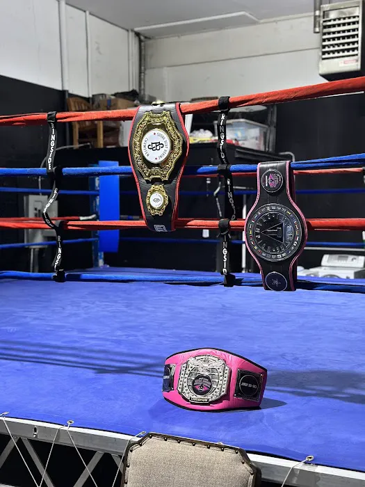 Nerdy Boxing Picture 2