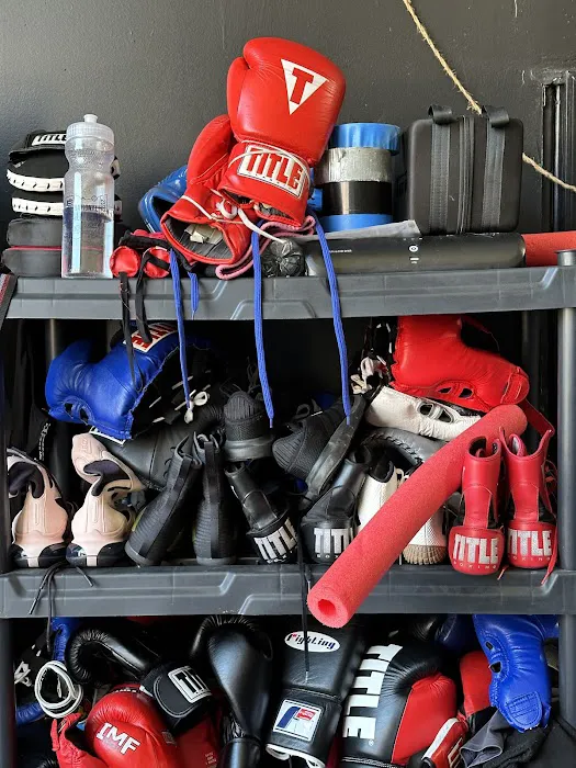 Nerdy Boxing Picture 3