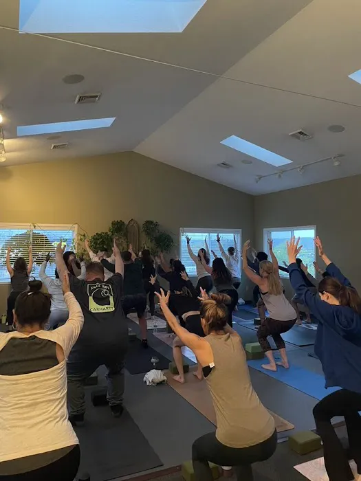 Organic Yoga Picture 9