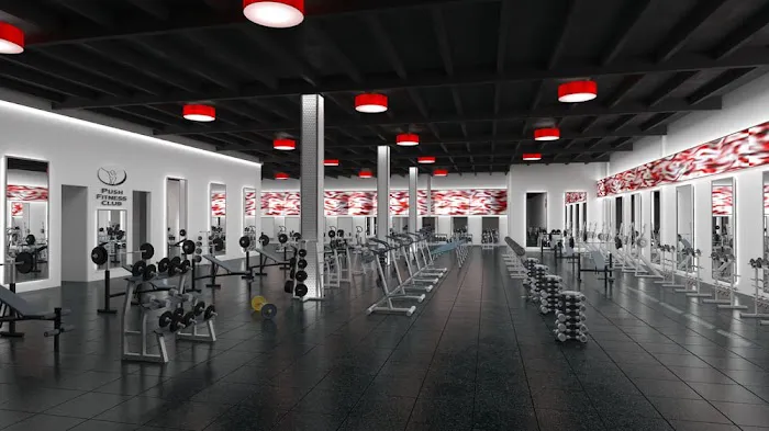 Push Fitness Club of New Hyde Park Picture 5