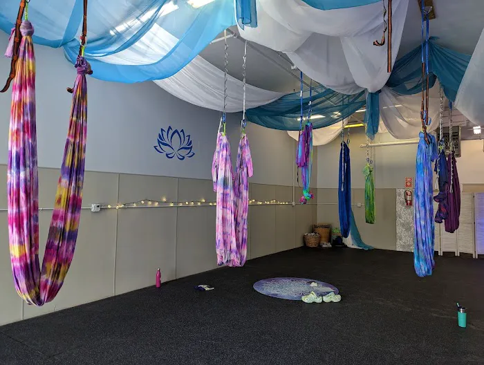 Blue Lotus Bliss Wellness Picture 1