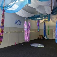 Blue Lotus Bliss Wellness ico