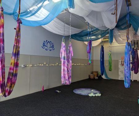 Blue Lotus Bliss Wellness