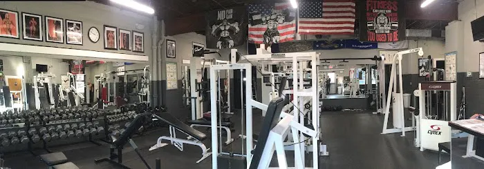 Muscle Factory Picture 9