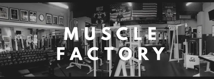 Muscle Factory Picture 8