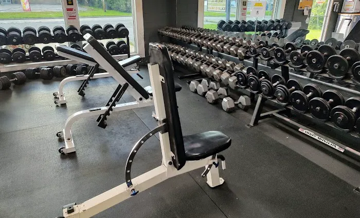 Muscle Factory Picture 4