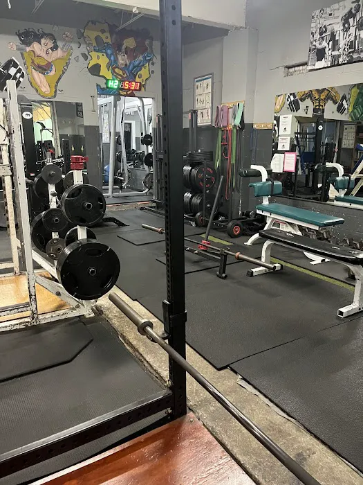 Muscle Factory Picture 3