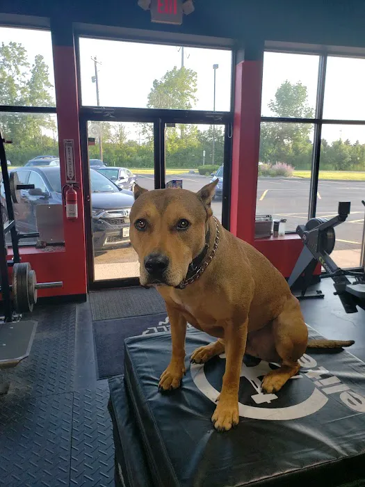 614 Barbell Picture 10