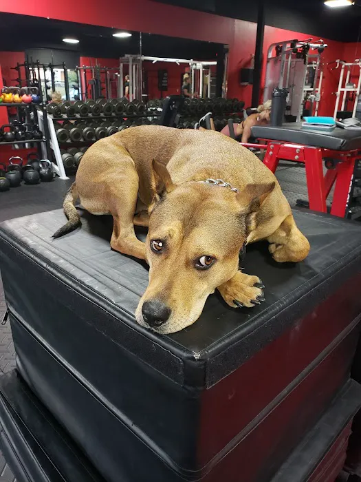 614 Barbell Picture 7