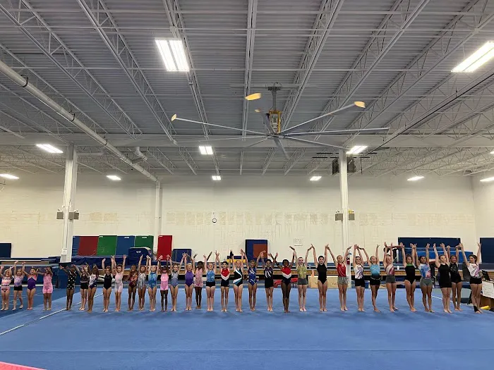 TEGA Tigers & The Elite Gymnastics Academy Picture 2