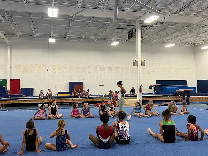 TEGA Tigers & The Elite Gymnastics Academy Picture 4