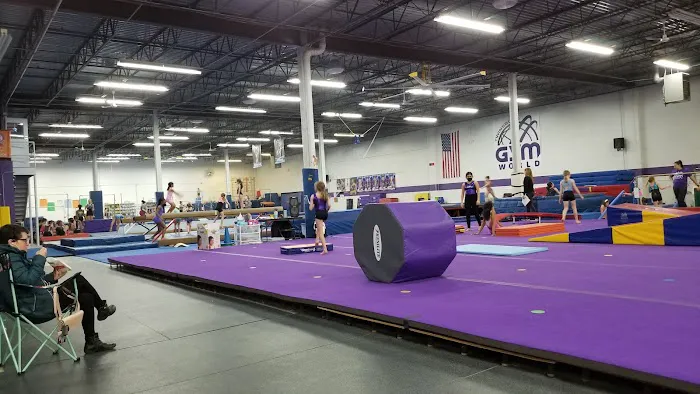 Gymnastics World of Twinsburg Picture 10