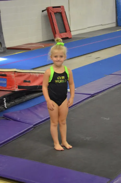Gymnastics World of Twinsburg Picture 3