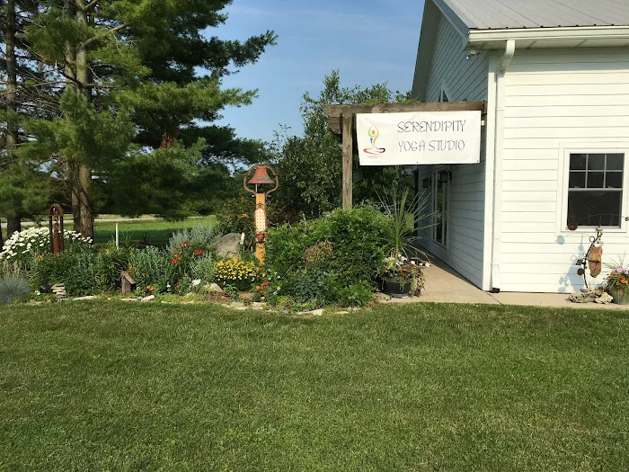 Serendipity Yoga Studio aka Marla Helton Yoga! Picture 5