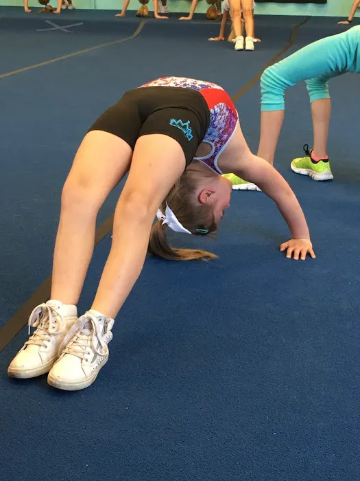 On the Flipside Gymnastics Picture 4