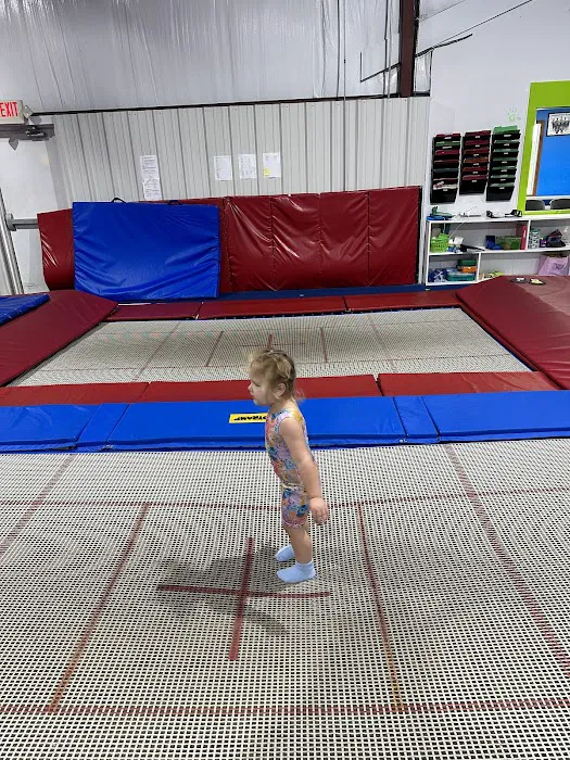 Newburgh Tumbling Picture 2