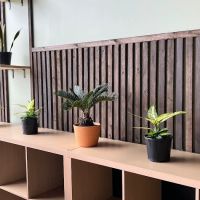 The Flexibility Co. ico