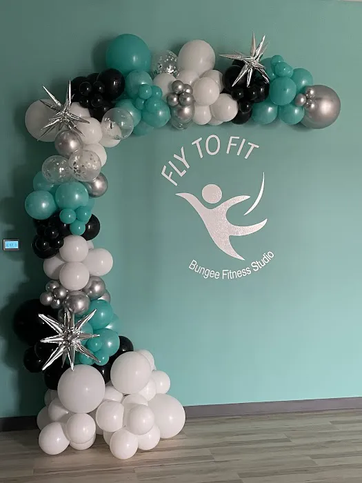 Fly to Fit Bungee Fitness Studio Picture 4
