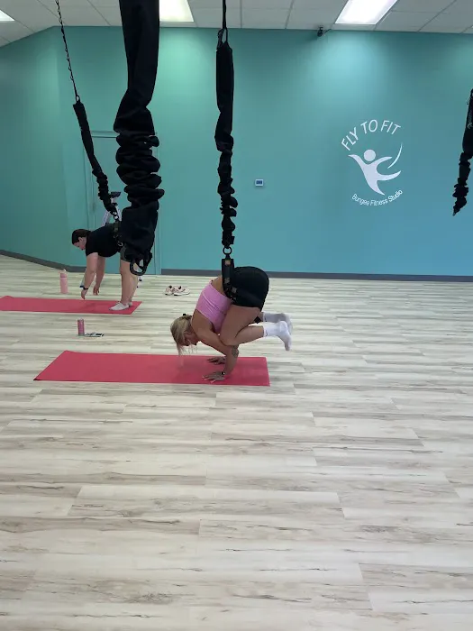 Fly to Fit Bungee Fitness Studio Picture 6