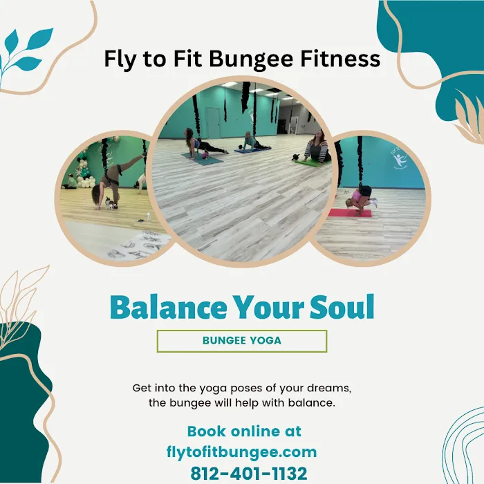 Fly to Fit Bungee Fitness Studio Picture 10