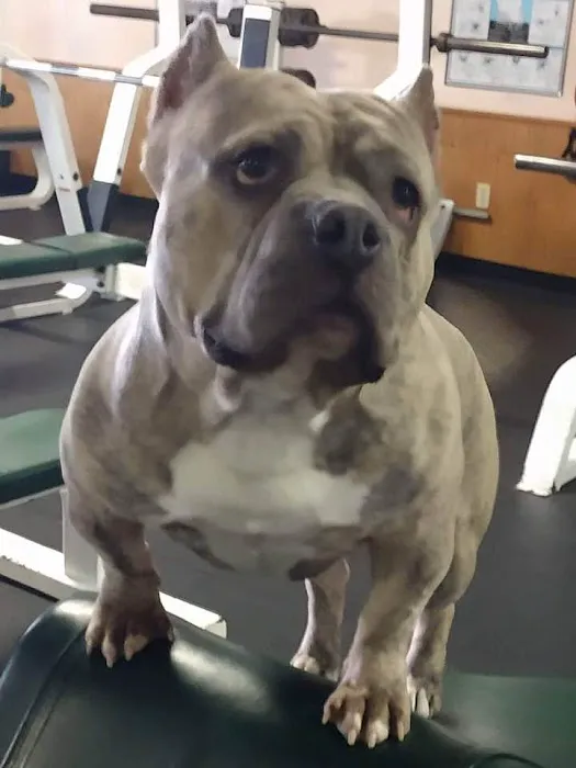 Stay Fit Gratiot County Picture 1