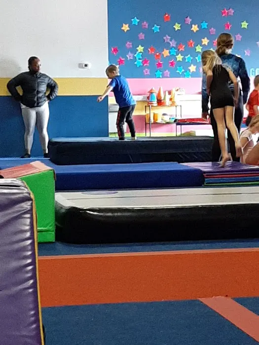 Mt Pleasant Gymnastics Academy Picture 6