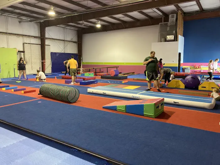 Mt Pleasant Gymnastics Academy Picture 3